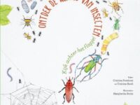 Ontdek de wereld van insecten