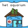 Hoek aquarium