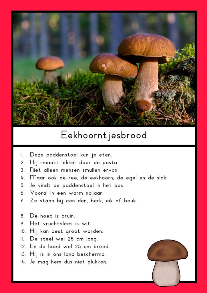 leesteksten paddenstoelen