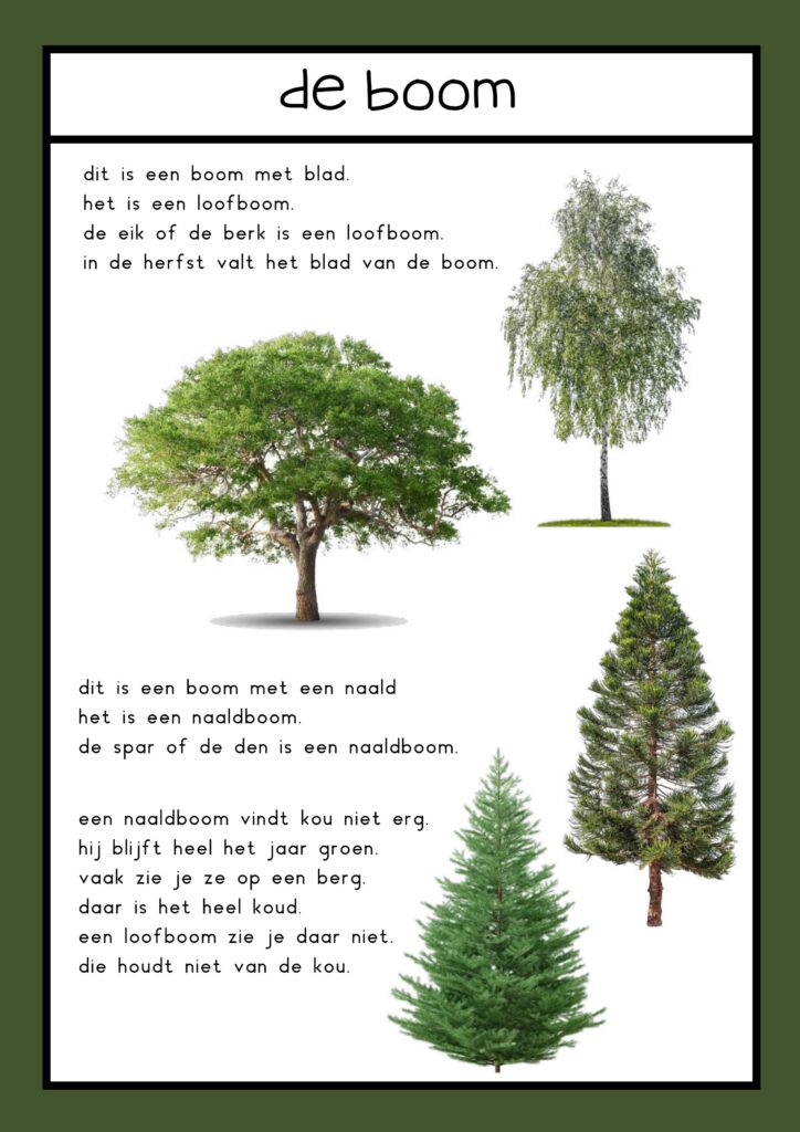 tekst bomen