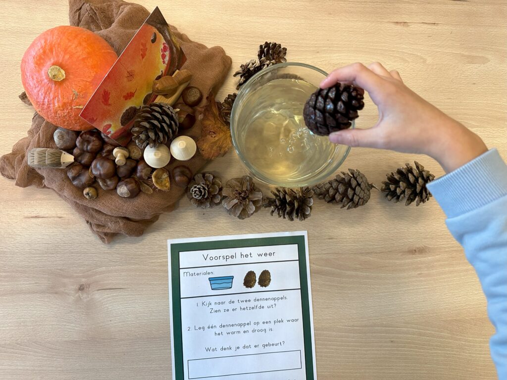 Natuurhoek dennenappel 1