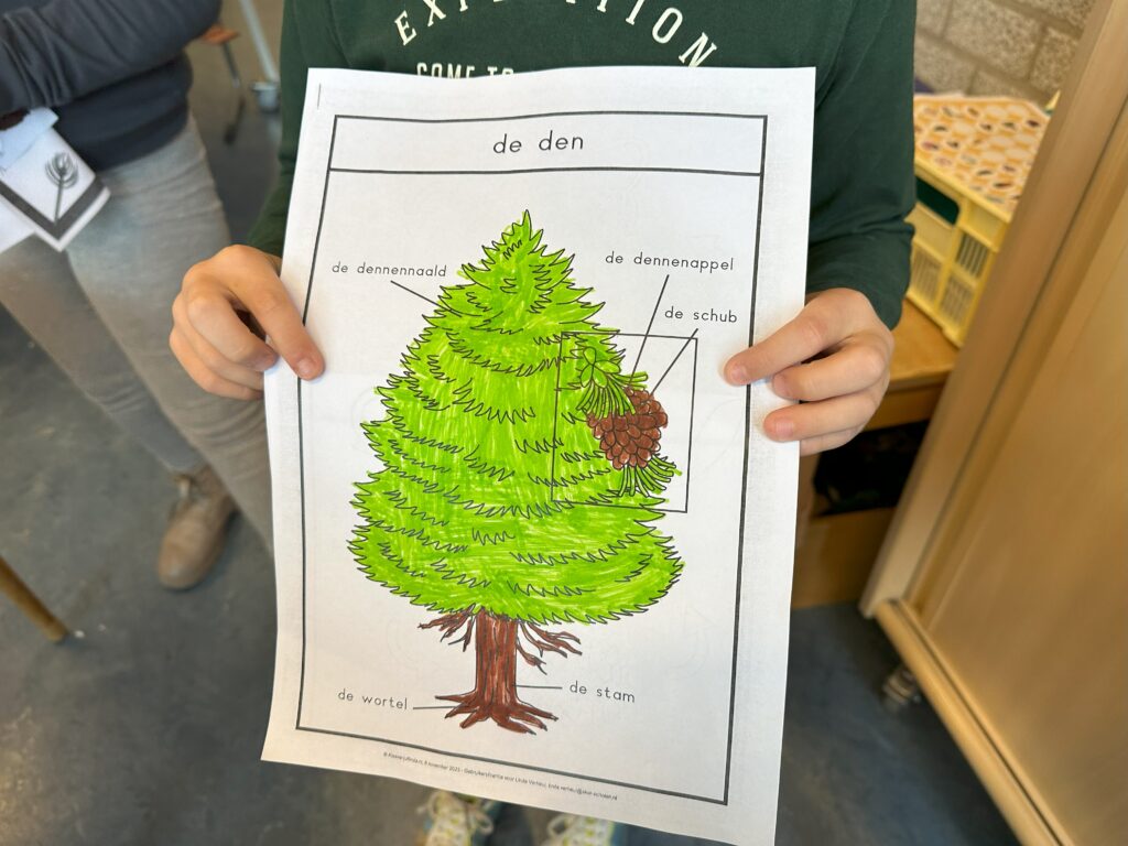 Natuurhoek dennenappel 5