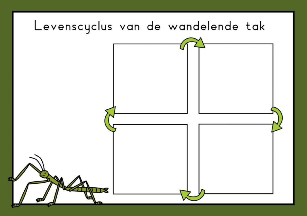 natuurhoek wandelende tak