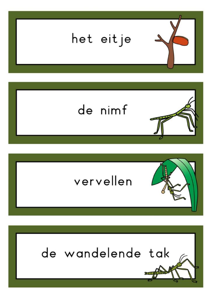 natuurhoek wandelende tak