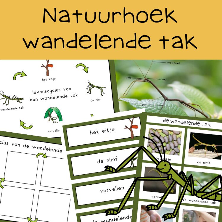 natuurhoek wandelende tak