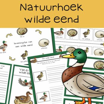 Natuurhoek wilde eend