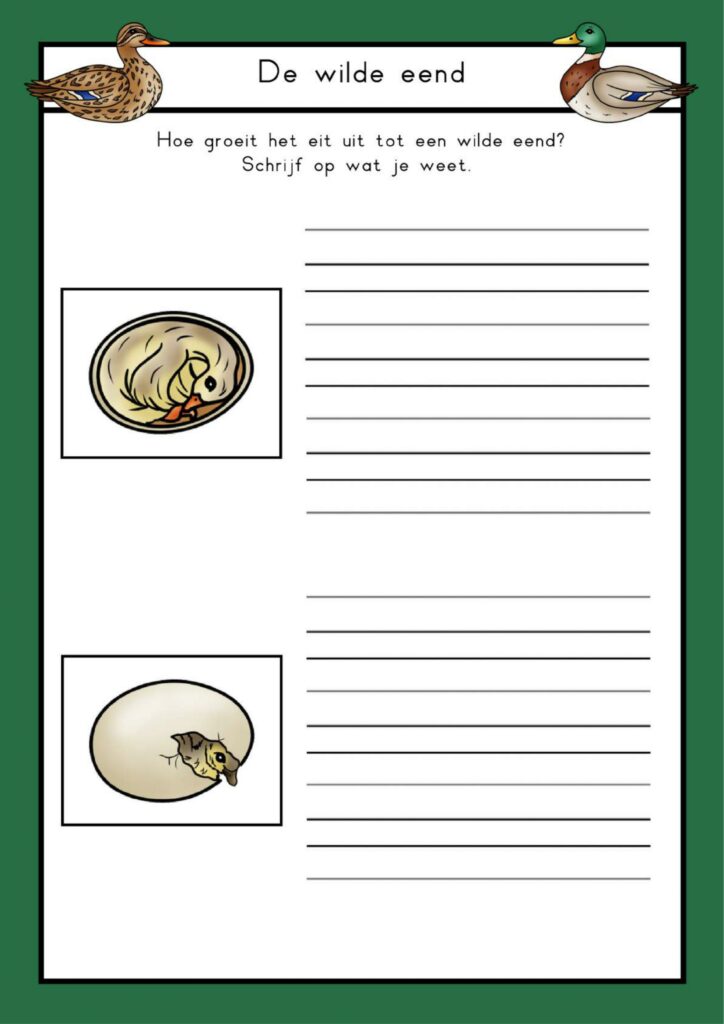 natuurhoek wilde eend