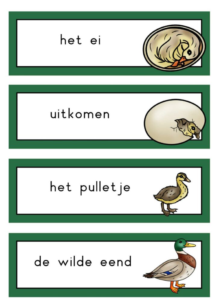 natuurhoek wilde eend