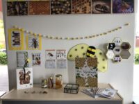 Thema Blij met de bij!