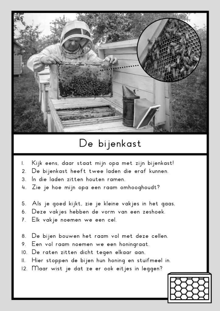 teksten bijen groep 4