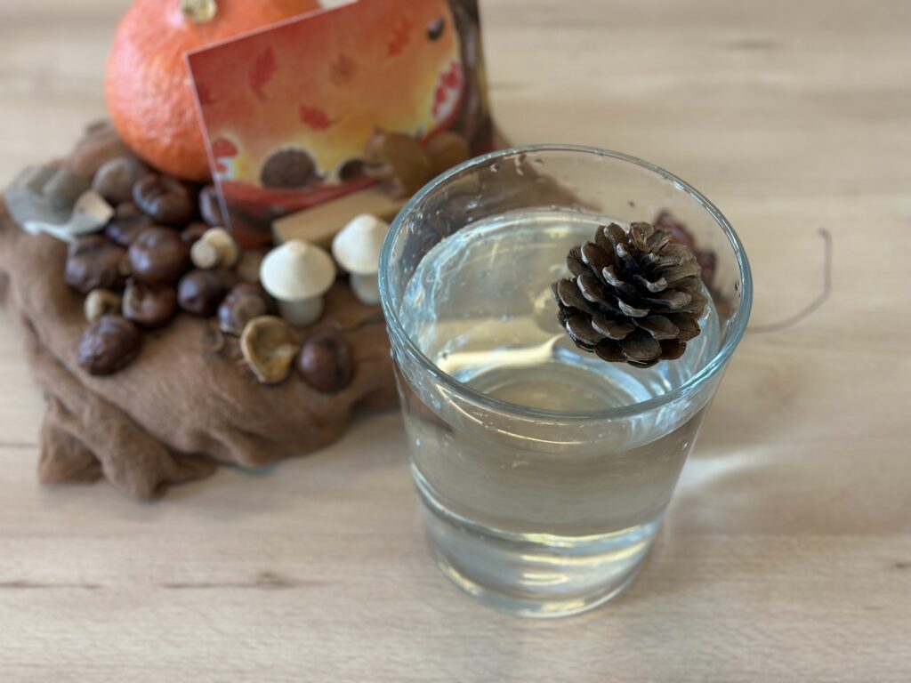 natuurhoek dennenappel