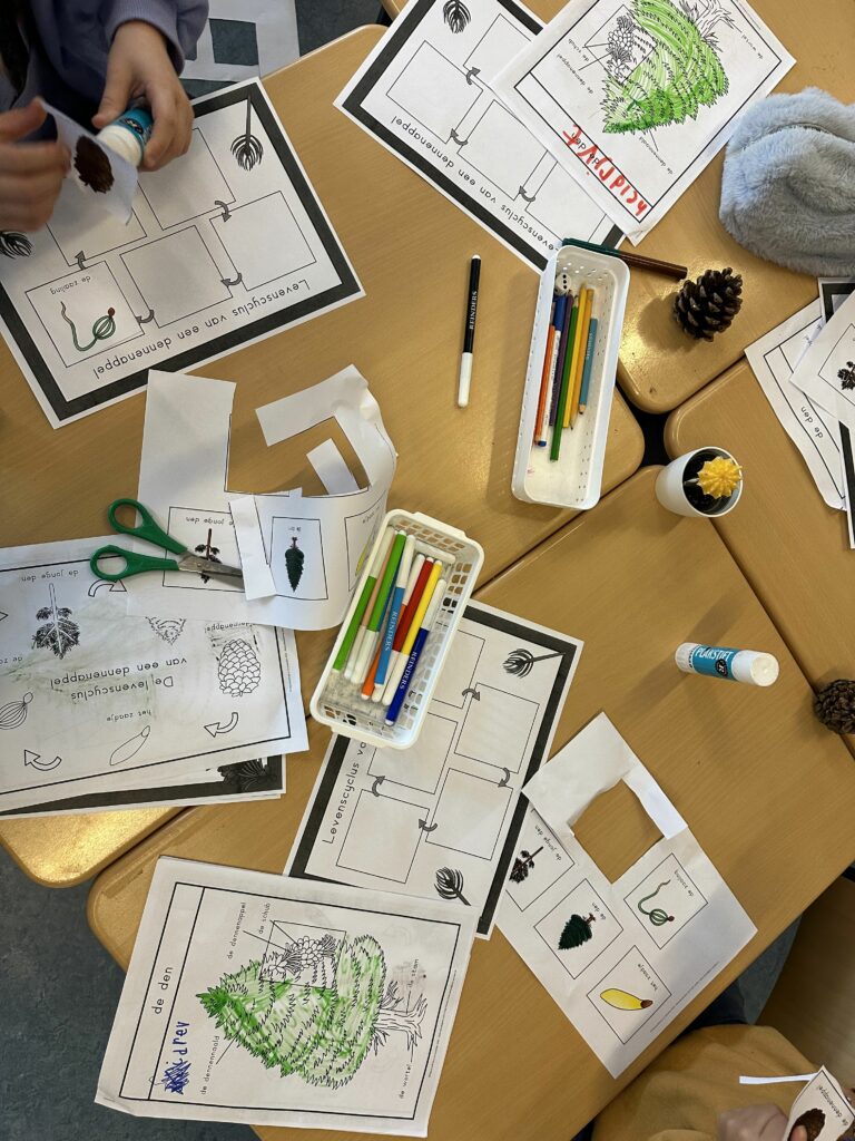 natuurhoek dennenappel