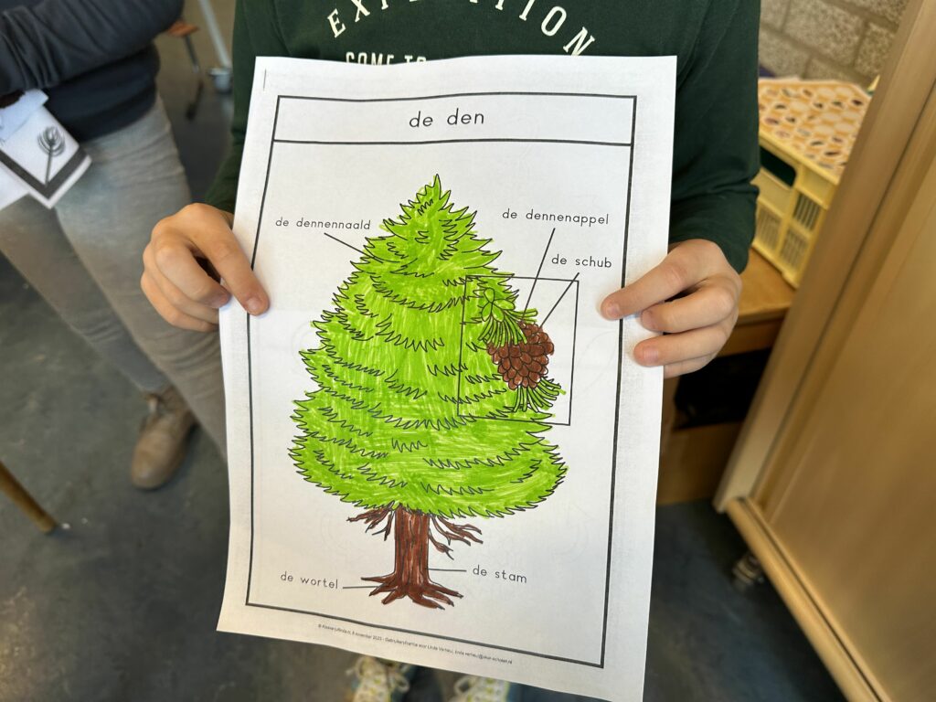 natuurhoek dennenappel