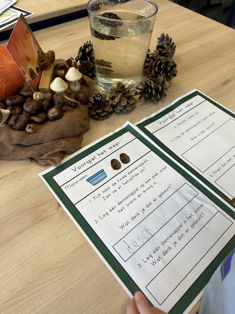 natuurhoek dennenappel