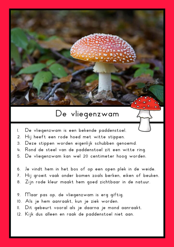 Teksten paddenstoelen (groep 4)