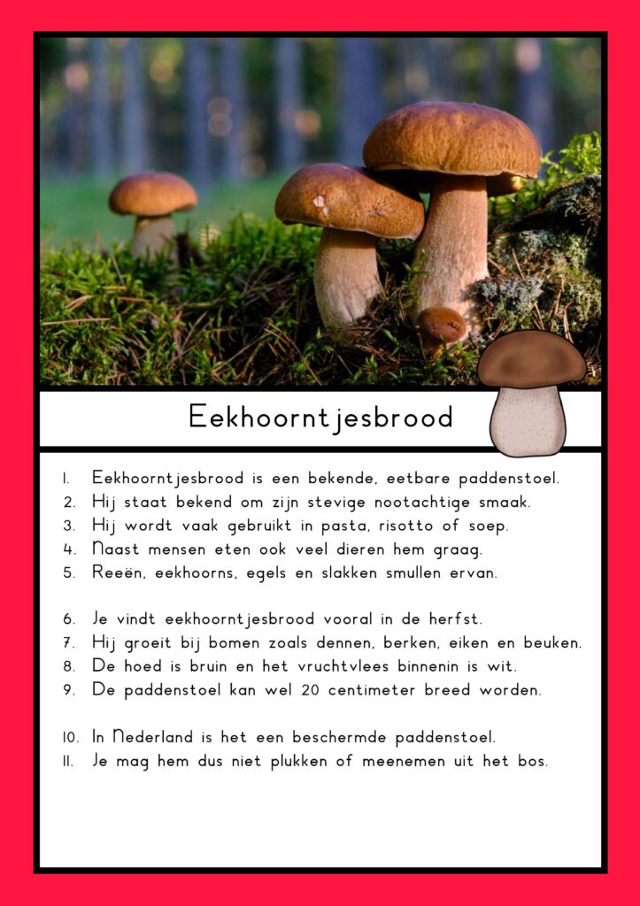 Teksten paddenstoelen (groep 4)
