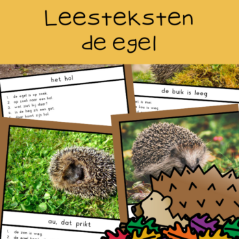 Teksten egel