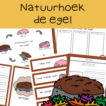 Natuurhoek egel