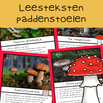 Teksten paddenstoelen (groep 4)