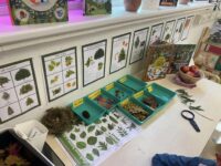 Leesteksten over bomen (in de herfst)