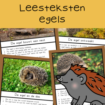 Teksten egel (groep 4)