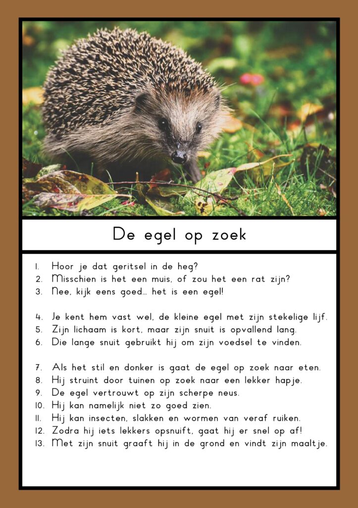 Teksten egel (groep 4)