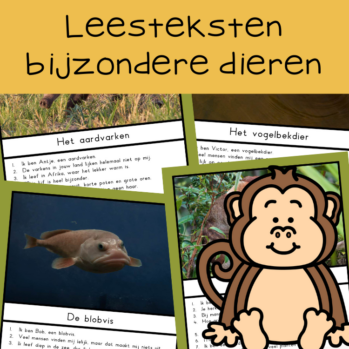 Teksten bijzondere dieren (groep 4)