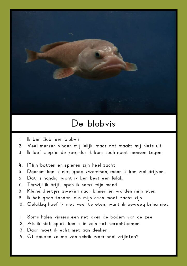 teksten bijzondere dieren groep 4