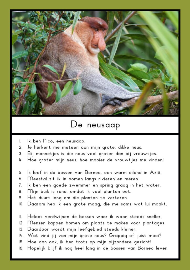 teksten bijzondere dieren groep 4