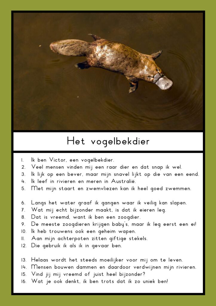 teksten bijzondere dieren groep 4