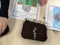 Ontwerp je eigen tuin in de klas