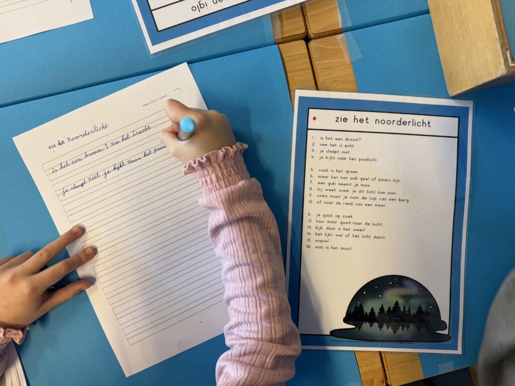Hoe gebruik je leesteksten in de themahoek?