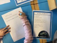 Hoe gebruik je leesteksten in de themahoek?