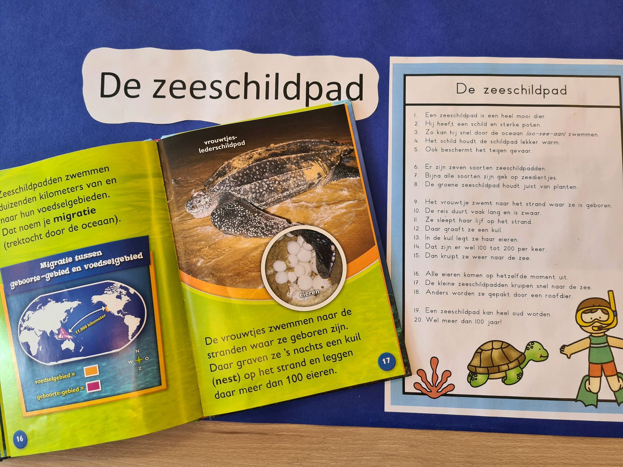 Je bekijkt nu Van leeshoek naar leesomgeving