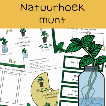 Natuurhoek munt