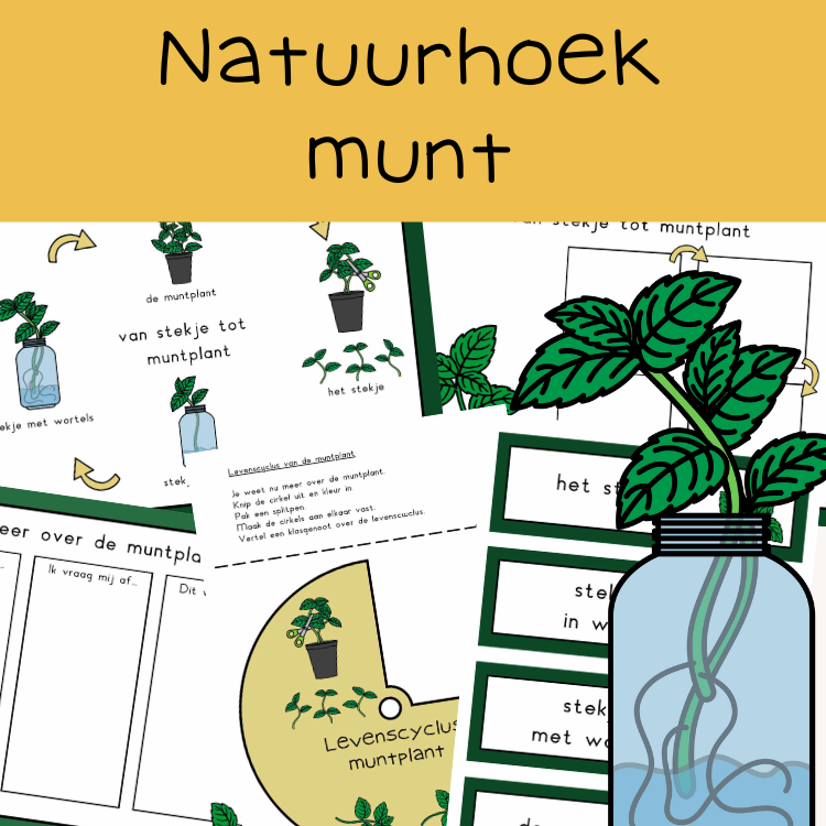 natuurhoek munt