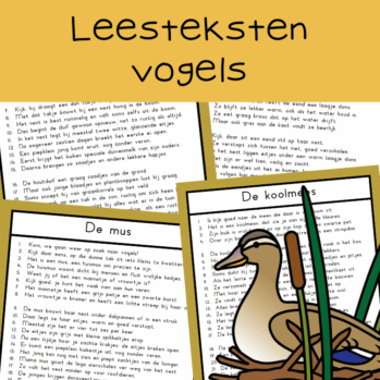 Leesteksten vogels (groep 4)