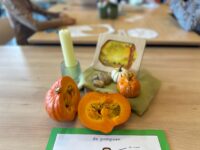 Rust en routines in de hoeken: zo houd je overzicht