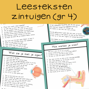 Teksten zintuigen (groep 4)