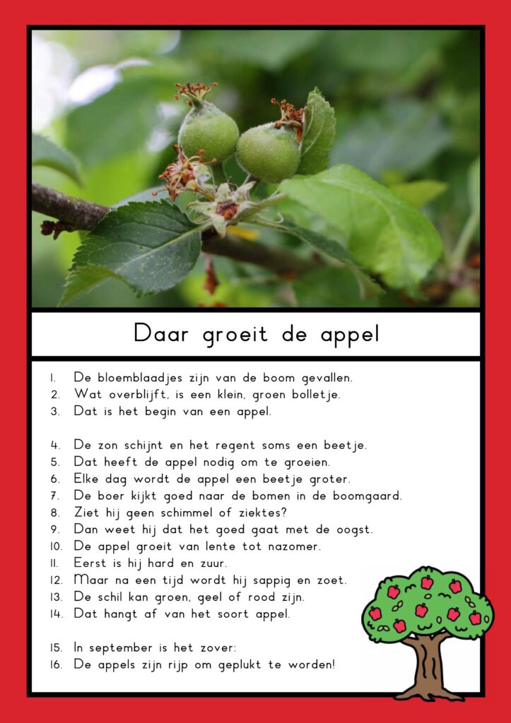 teksten appel groep 4