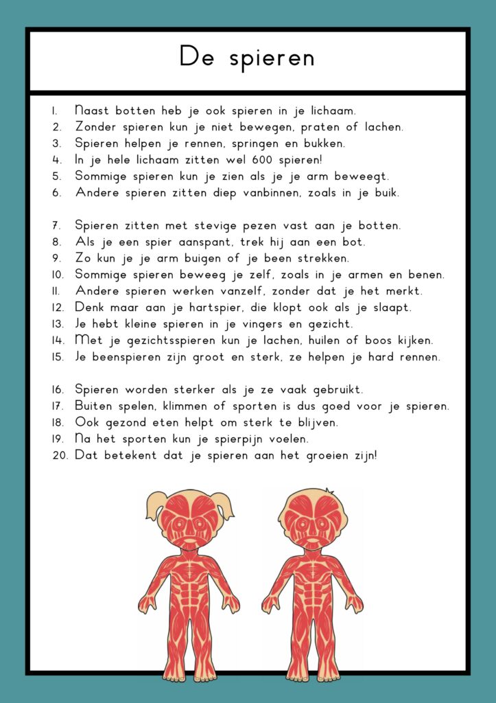 teksten mijn lijf groep 4