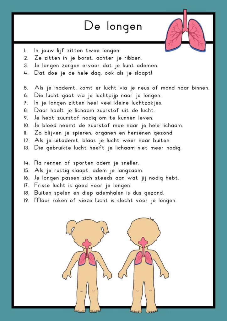 teksten mijn lijf groep 4