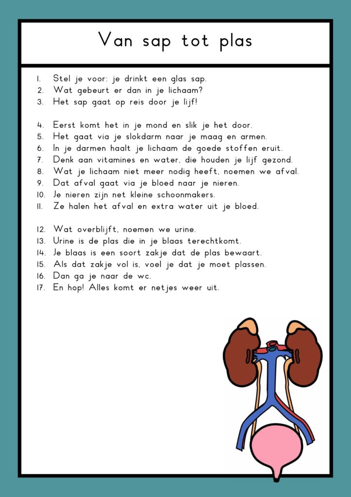 teksten mijn lijf groep 4