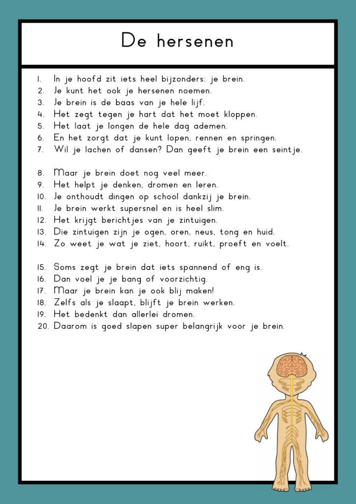 teksten mijn lijf groep 4