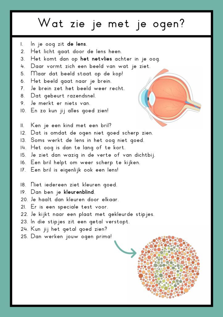 zintuigen teksten groep 4