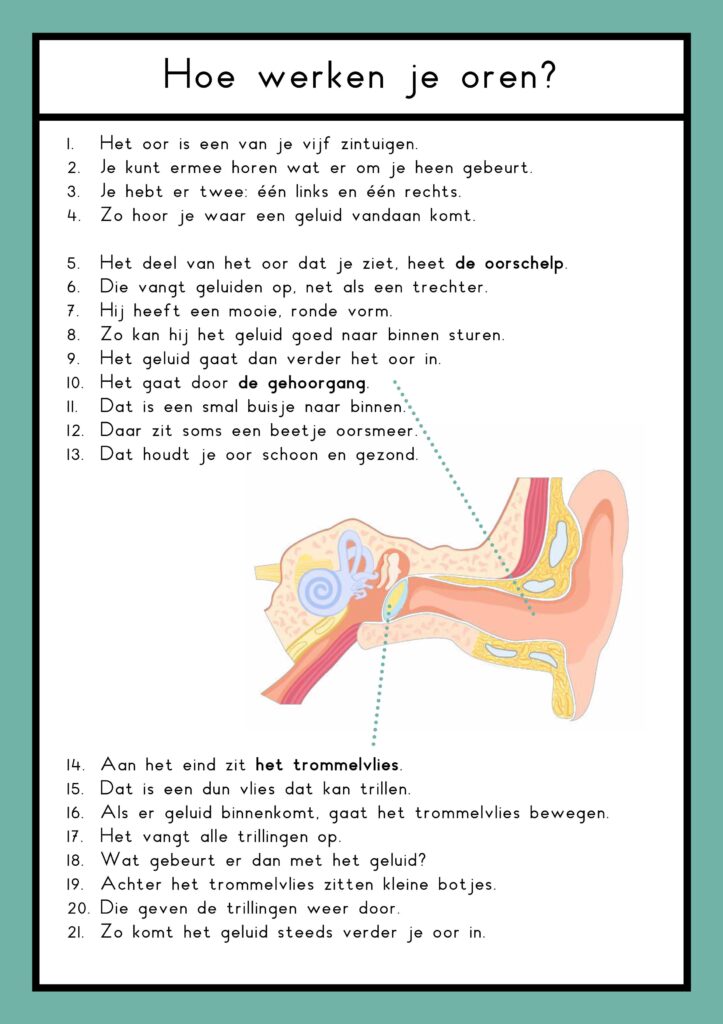 zintuigen teksten groep 4