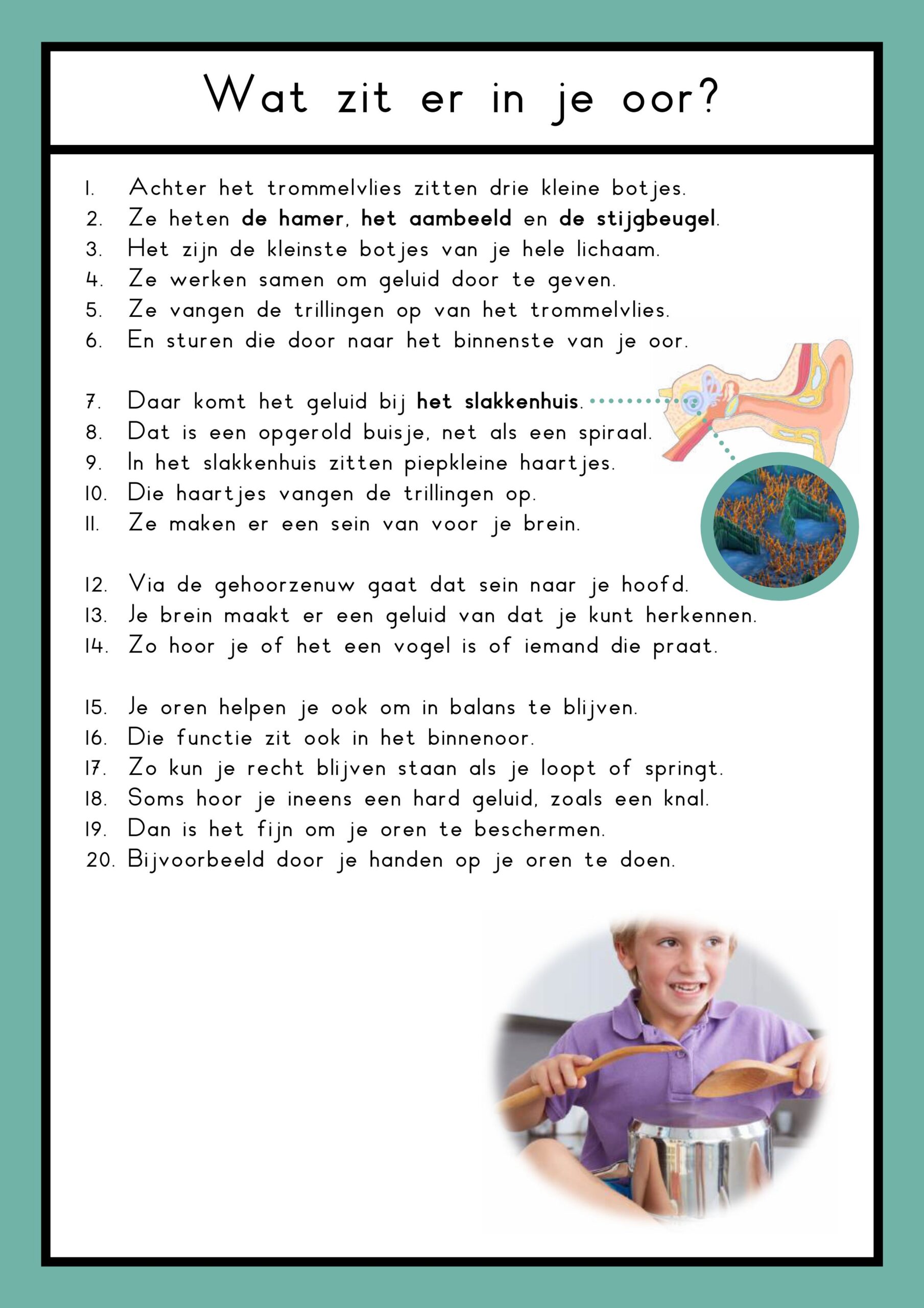 zintuigen teksten groep 4